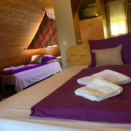 Sashalom Hotel *